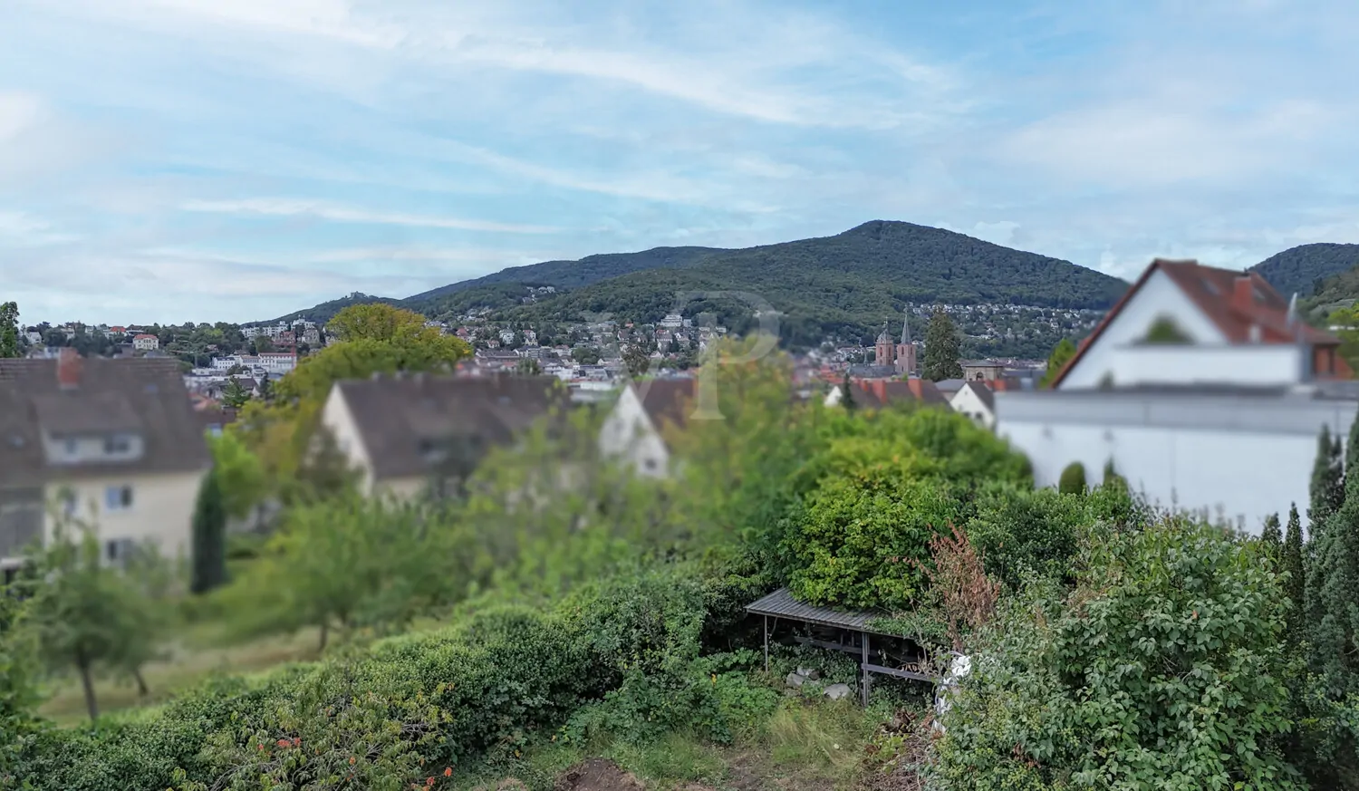 Blick über Neustadt