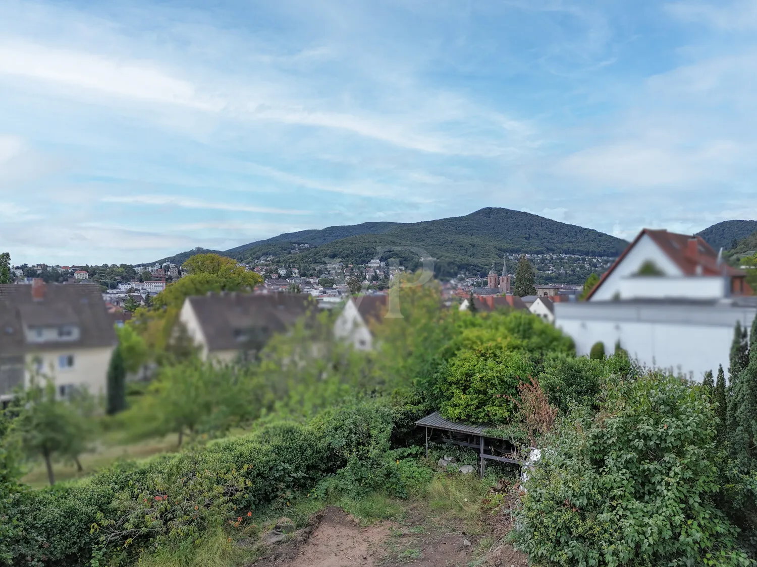 Blick über Neustadt