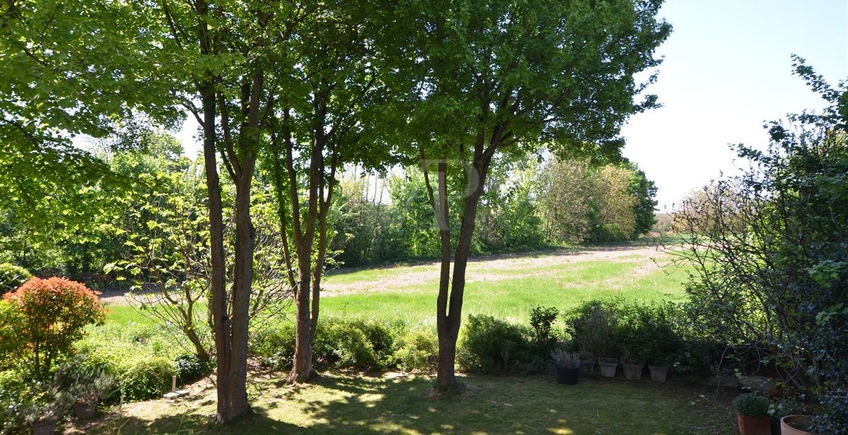 Blick in den Garten und auf das Vogelschutzgebiet
