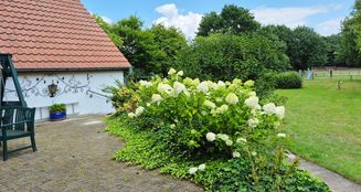 von_poll_real_estate_property_25231011_image_4