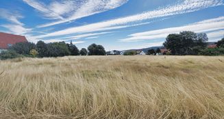 von_poll_real_estate_property_25231017_image_5