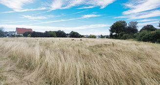 von_poll_real_estate_property_25231017_image_1