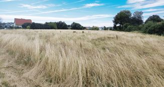 von_poll_real_estate_property_25231017_image_0