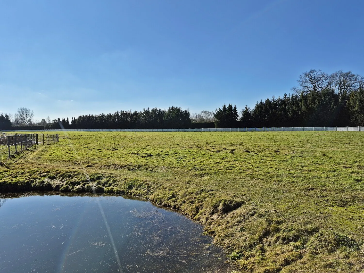 Weiden