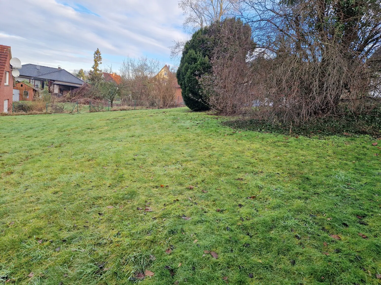 Baugrundstück am Waldrand