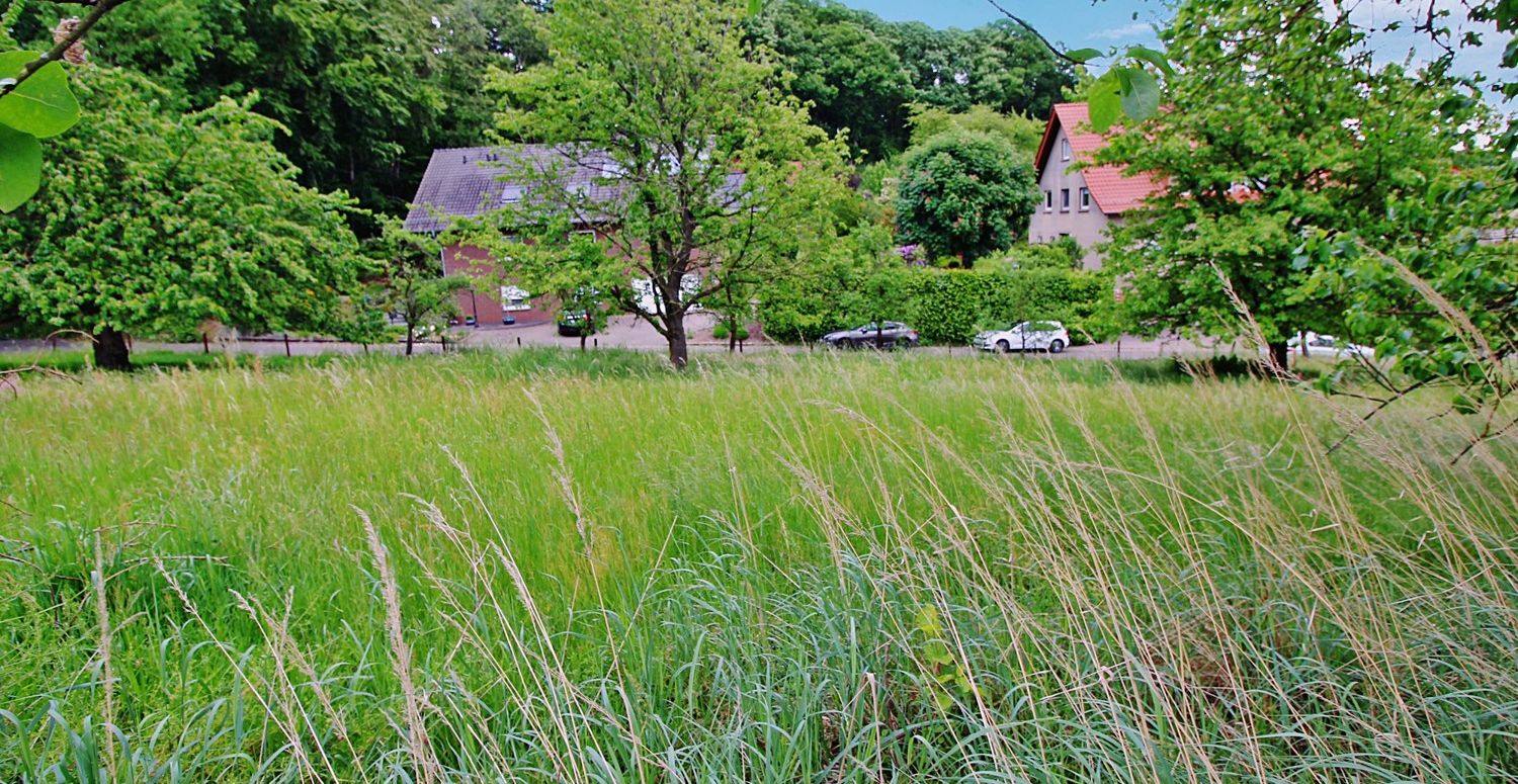 Blick auf die Straße