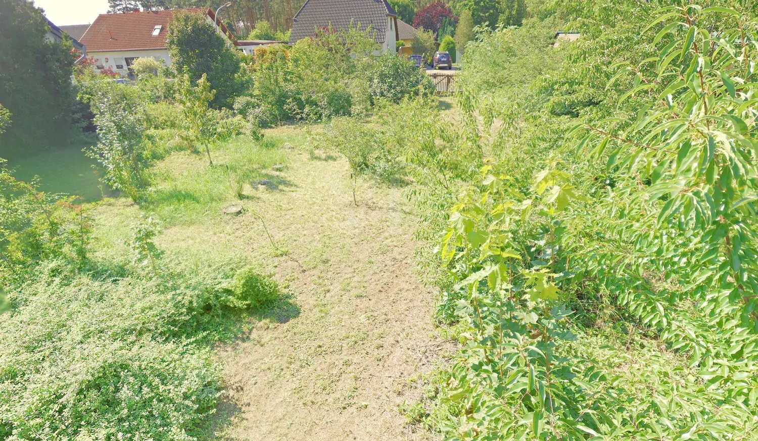 Garten vorderer Teil