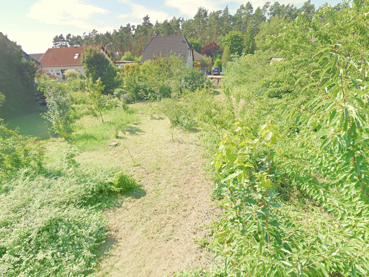 Garten vorderer Teil