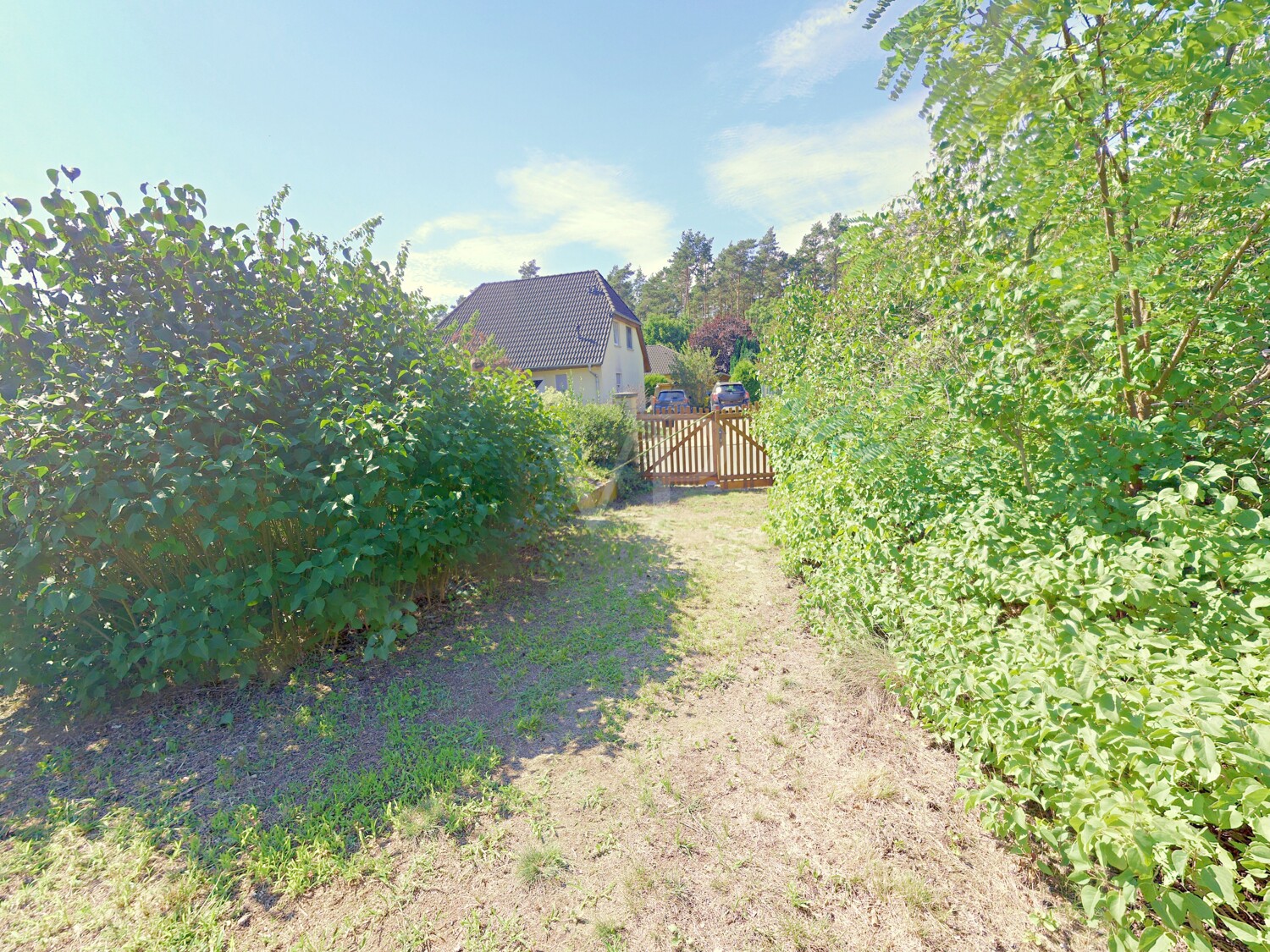 Weg zur Straße