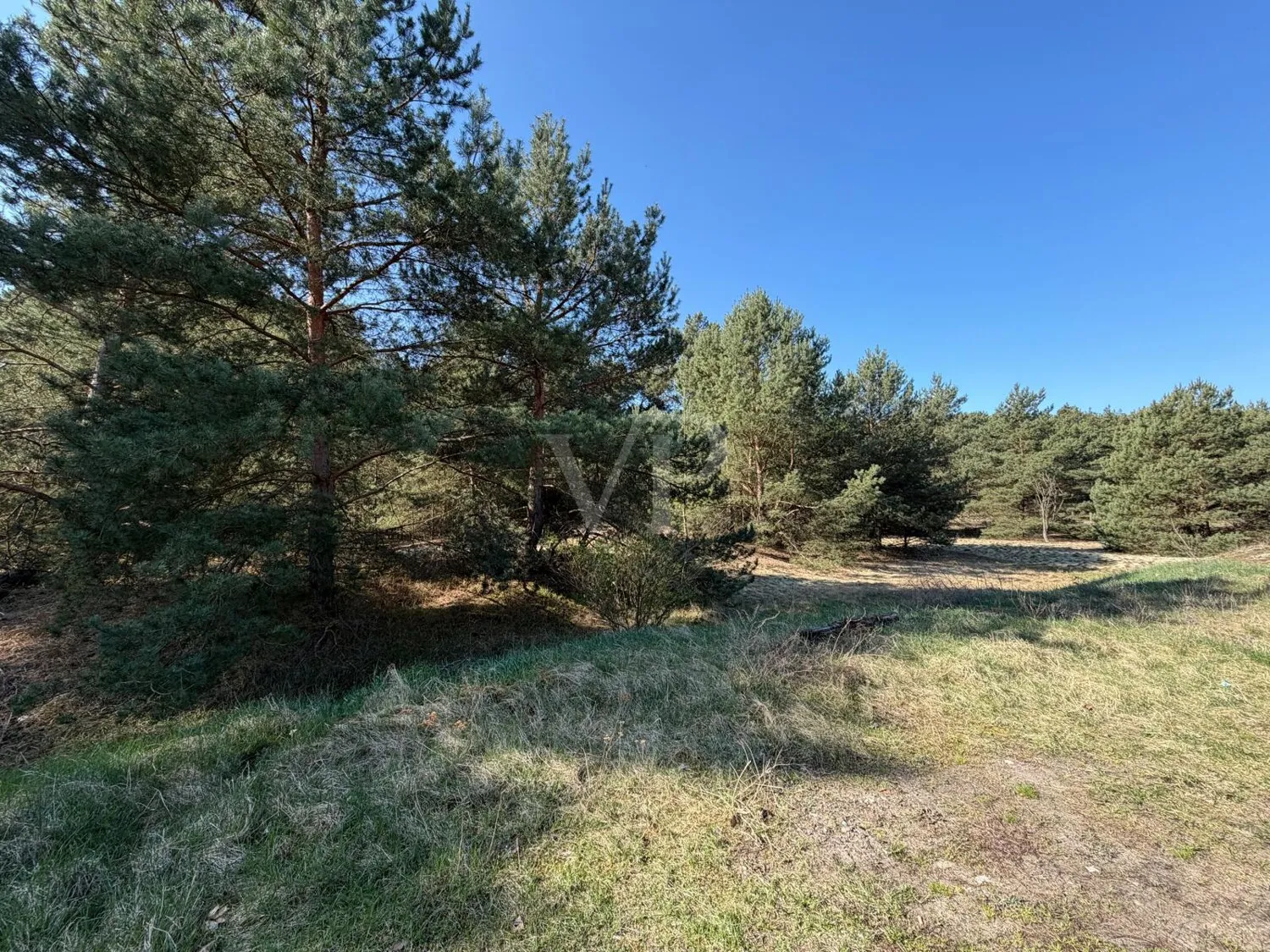 Direkte Lage am Waldrand