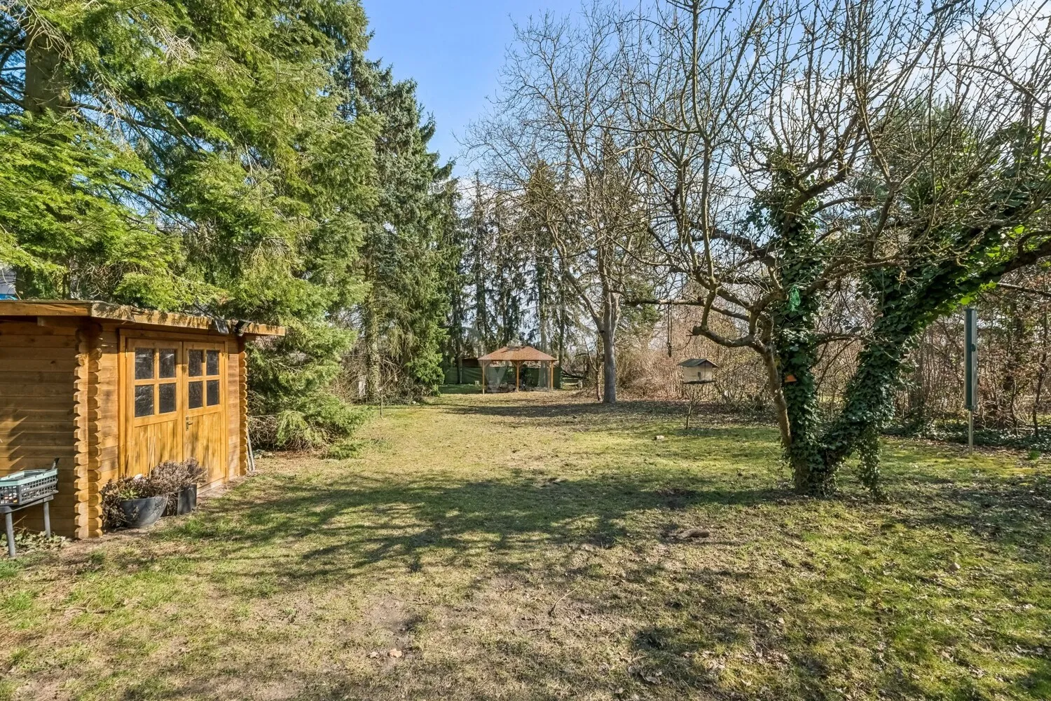 großzügiger Garten