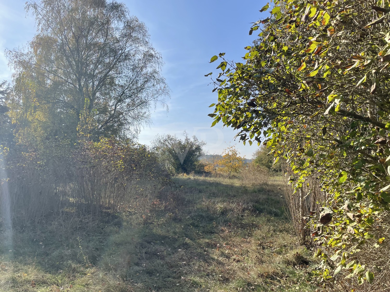 unverbaubarer Blick auf das Landschaftsschutzgebiet 