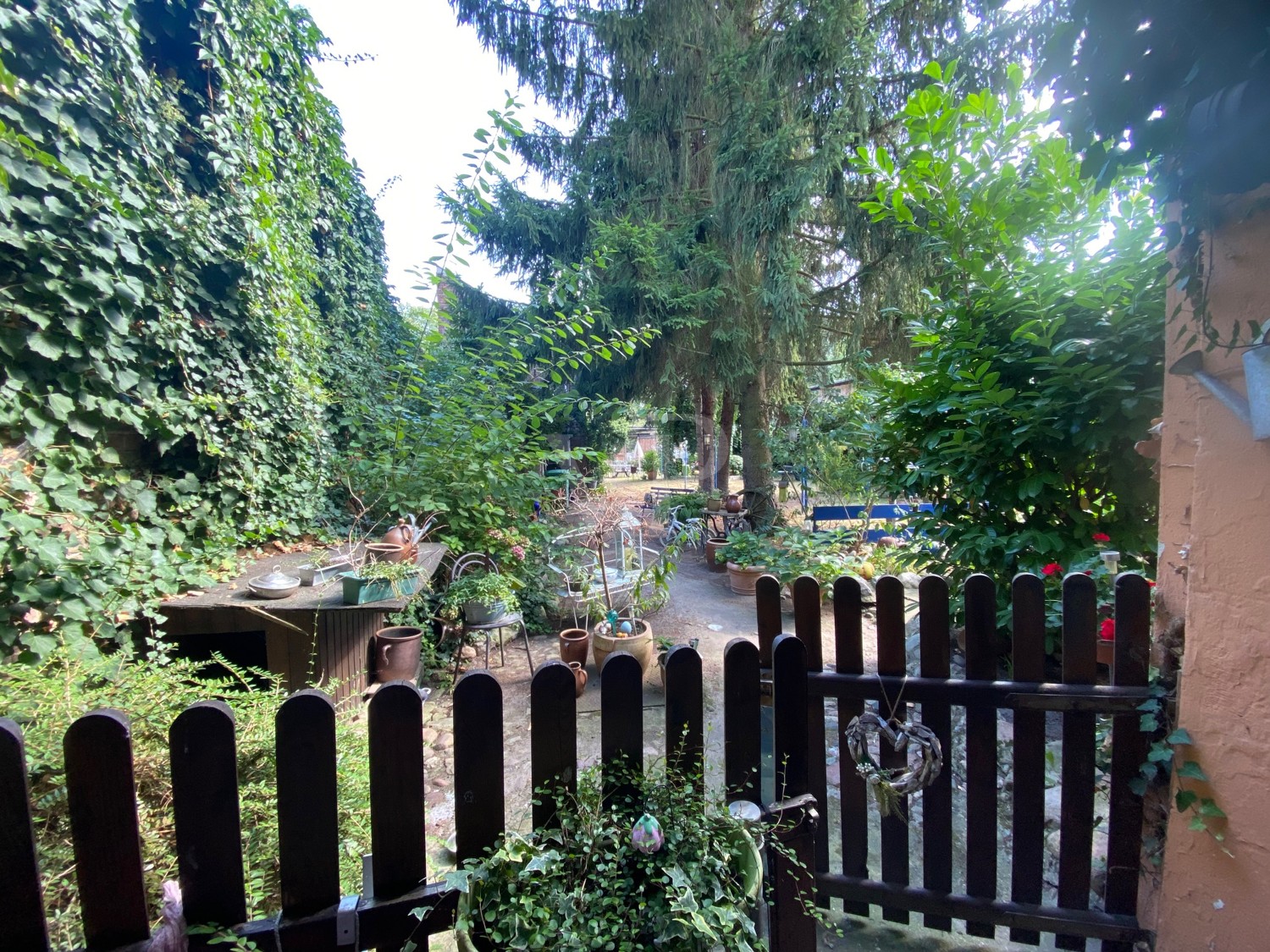 Blick in den Garten