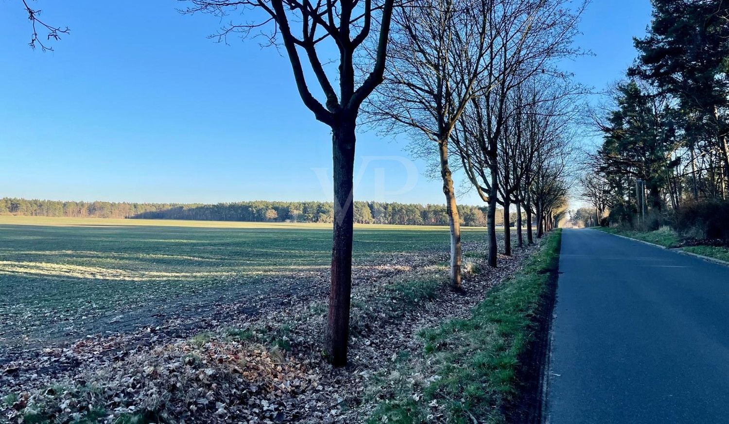 Blick auf die Straße