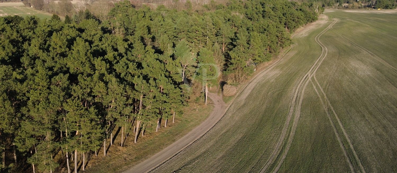 geplante Nordumfahrung