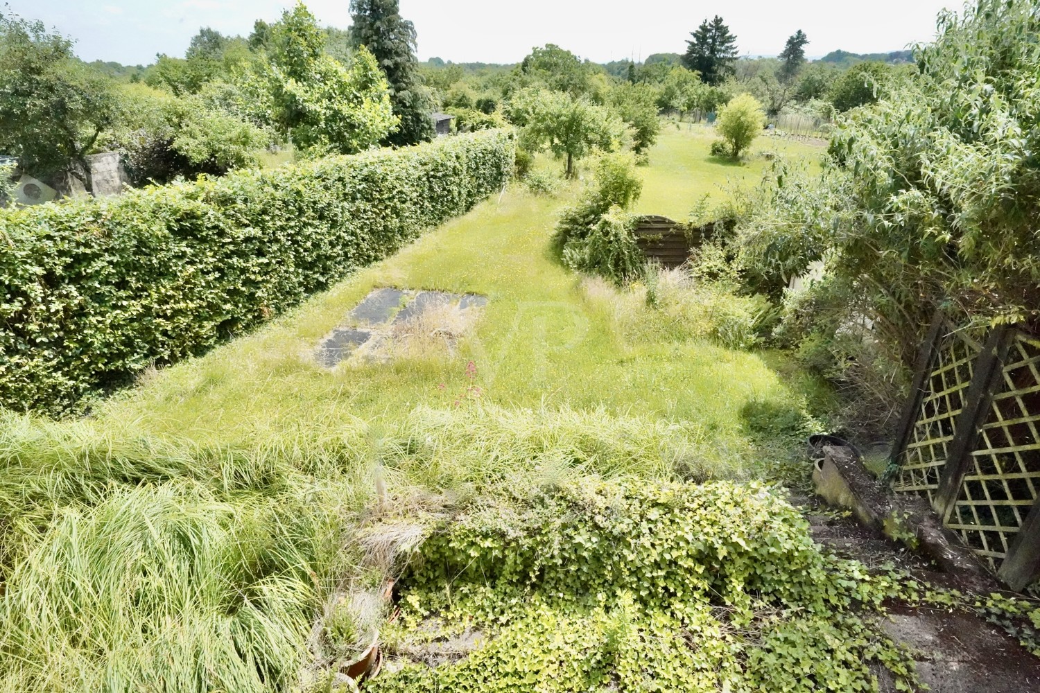 Blick in den Garten