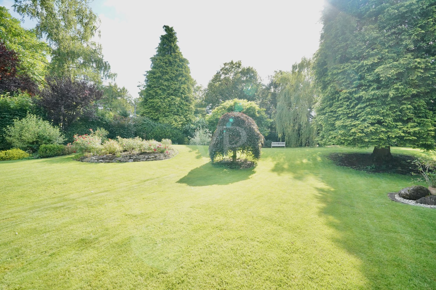 Blick in den Garten