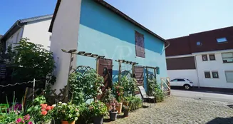 von_poll_real_estate_property_25009024_image_17