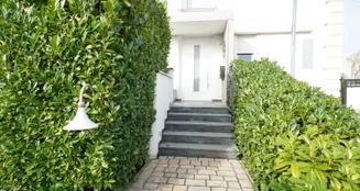 von_poll_real_estate_property_25009036_image_18