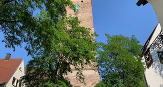 von_poll_real_estate_property_24069022_image_3