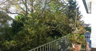 von_poll_real_estate_property_24069027_image_11