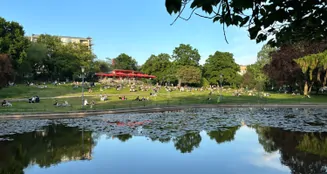 von_poll_real_estate_property_25136027B_image_16