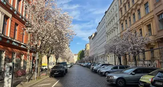 von_poll_real_estate_property_25136038_image_19