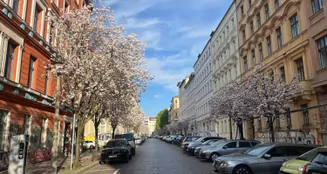 von_poll_real_estate_property_25136038_image_19