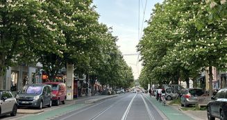 von_poll_real_estate_property_25136023_image_12
