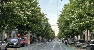 von_poll_real_estate_property_25136023B_image_21