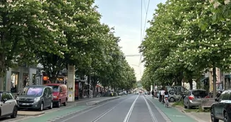 von_poll_real_estate_property_25136023B_image_46