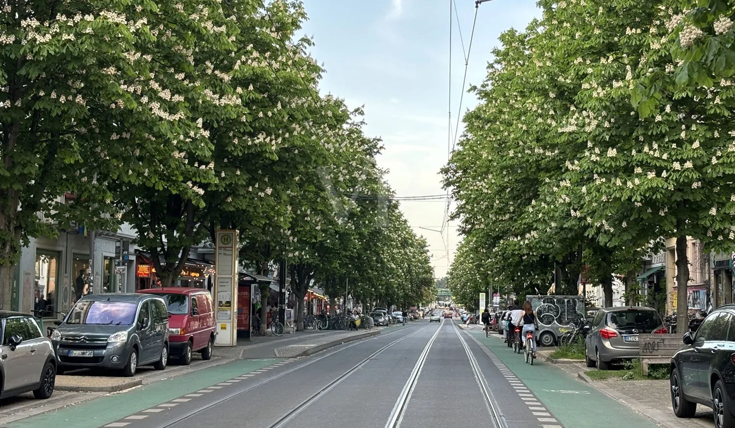 Kastanienallee Blick Richtung Schönhauser Allee