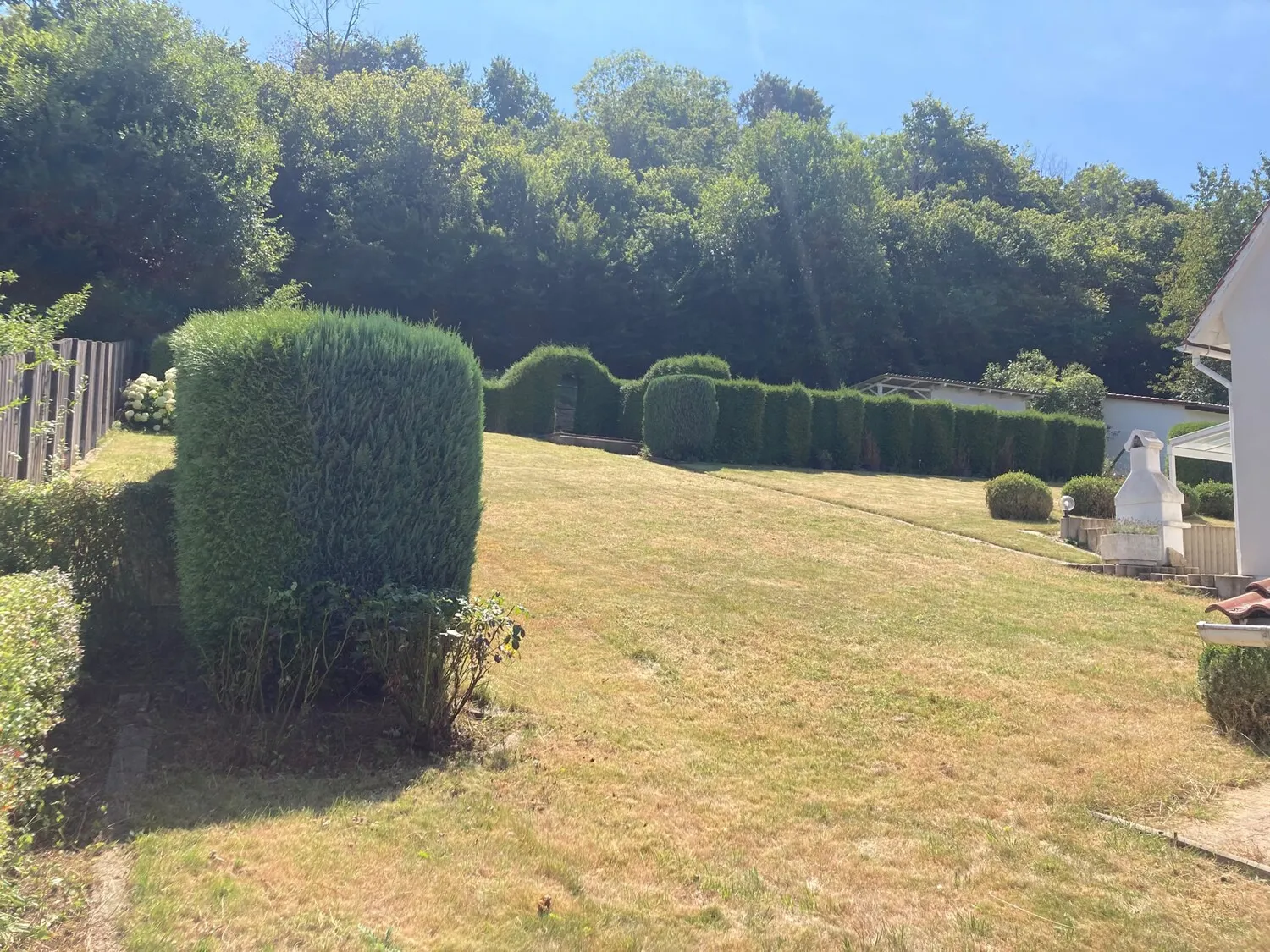 Blick in den Garten