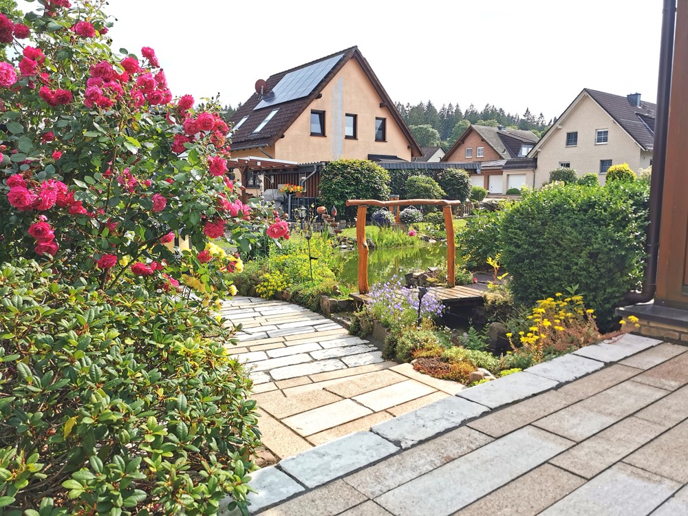 Weg zum Teich