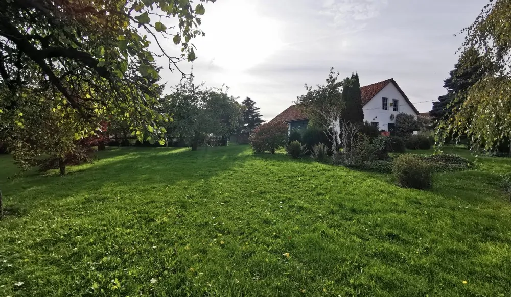 Große Wiesenflächen