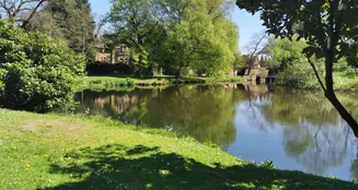 von_poll_real_estate_property_25232002_image_6