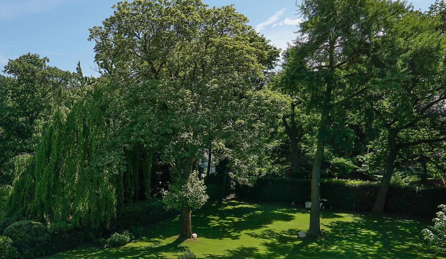 Baugrundstück hinterer Grundstücksbereich