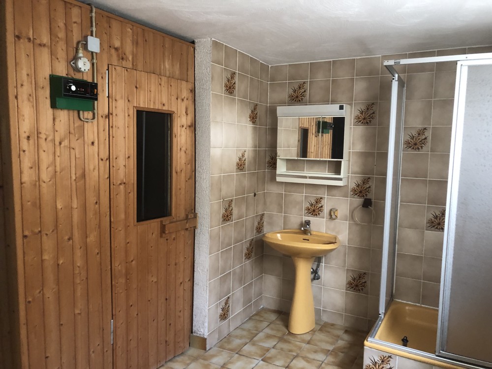 Spa  -  Sauna mit Dusche