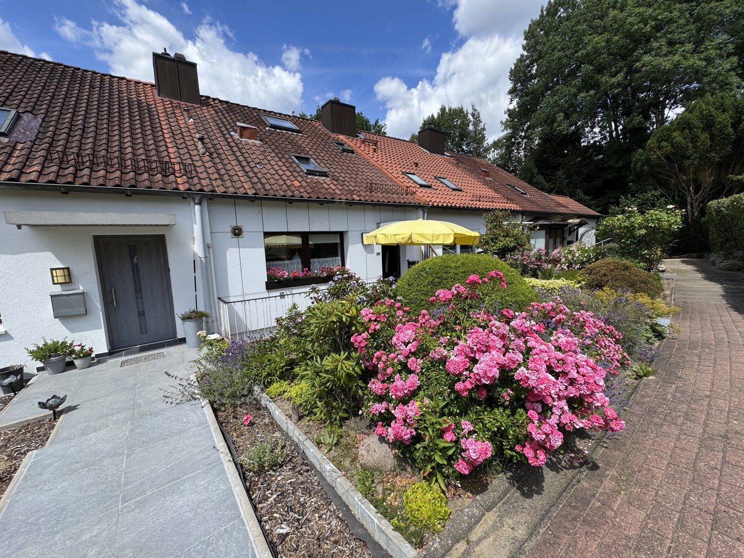 Frontansicht 2