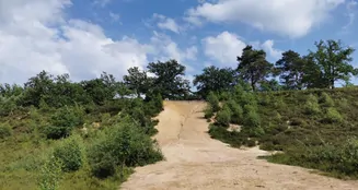 von_poll_real_estate_property_25135027_image_4