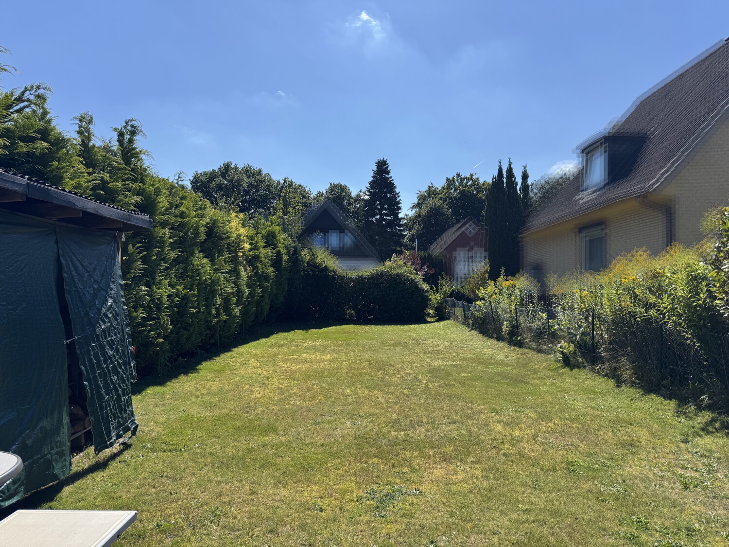 Rasenfläche