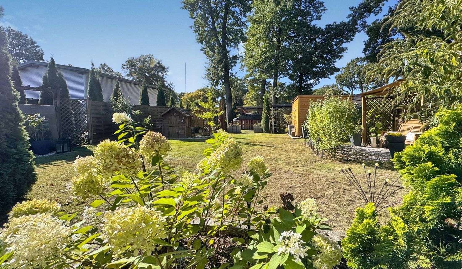 Blick in den Garten