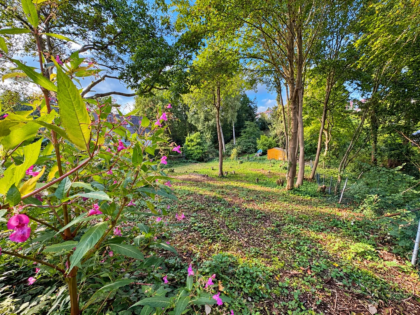 Gartenblick