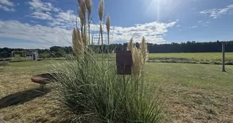 von_poll_real_estate_property_25095032_image_16