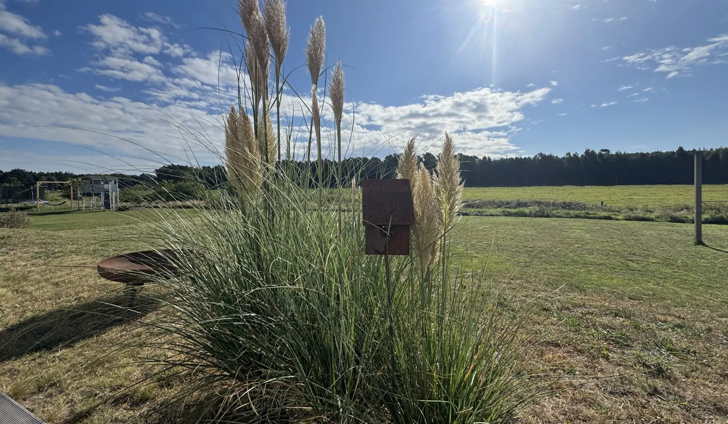 Blick über die Felder