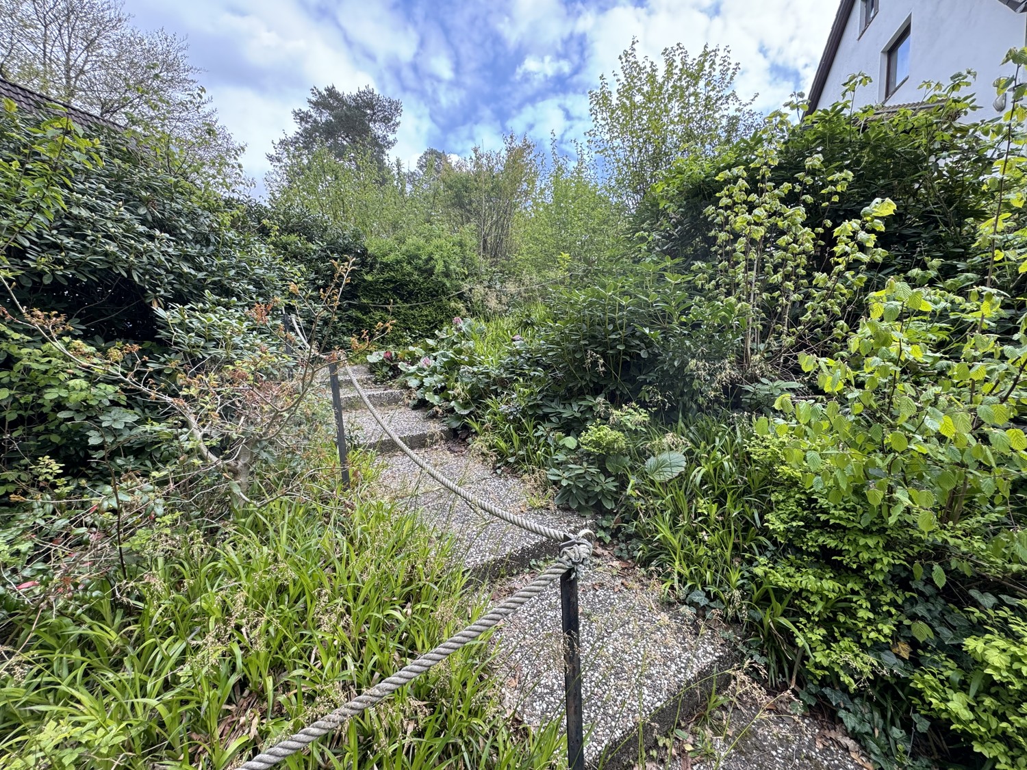 Treppe zum Haus Ansicht 2