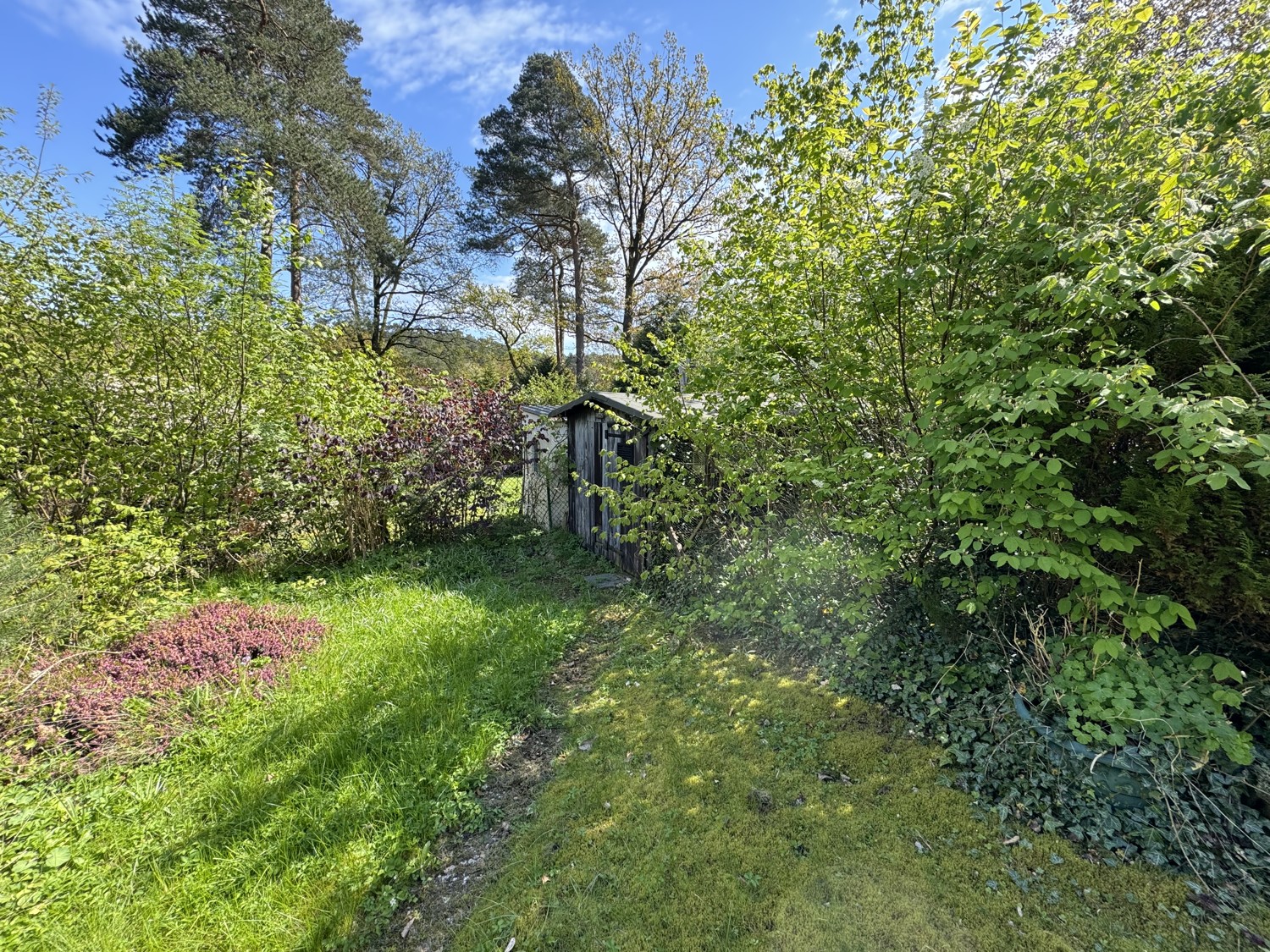 Garten Ansicht 2
