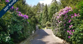 von_poll_real_estate_property_24135021_image_0