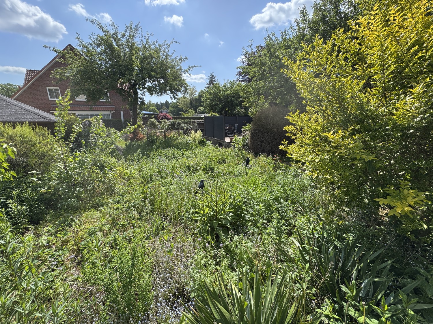 Gartenansicht 2