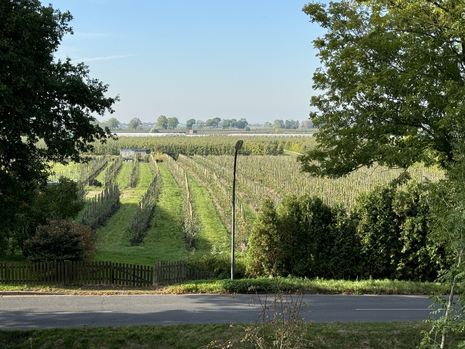 Blick auf die Apfelplantagen